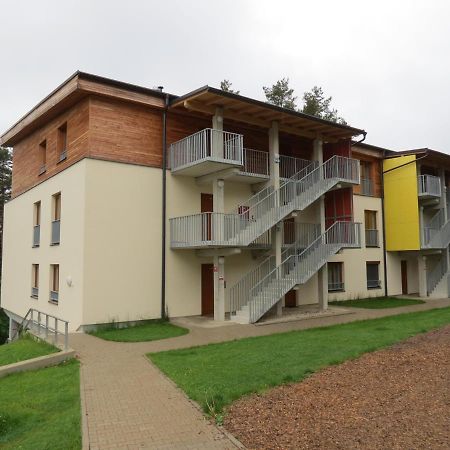 Family Apartment Lipno Lake Lipno nad Vltavou Dış mekan fotoğraf