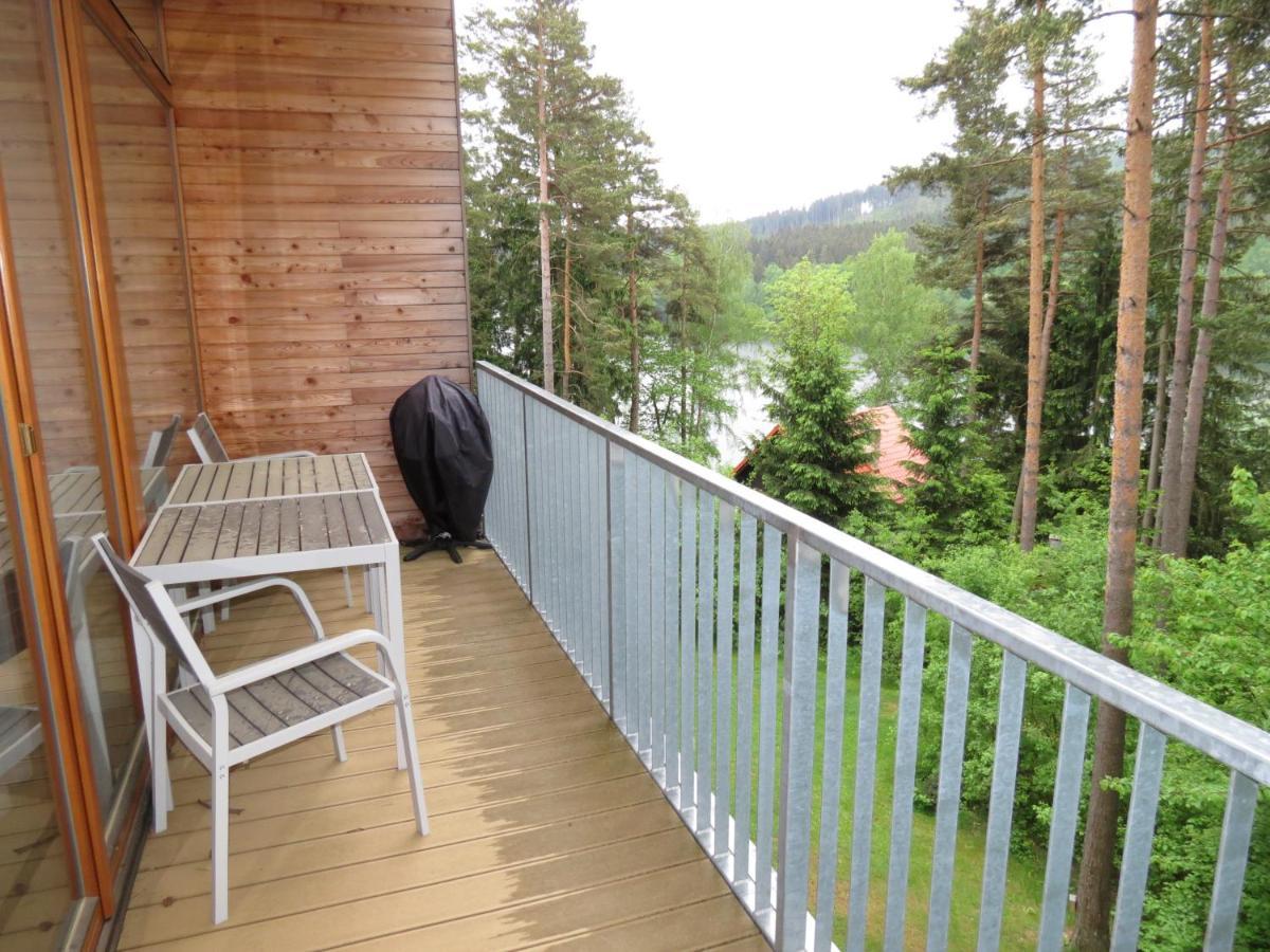 Family Apartment Lipno Lake Lipno nad Vltavou Dış mekan fotoğraf
